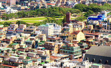 사업영역